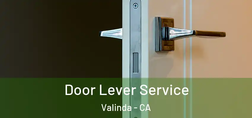  Door Lever Service Valinda - CA